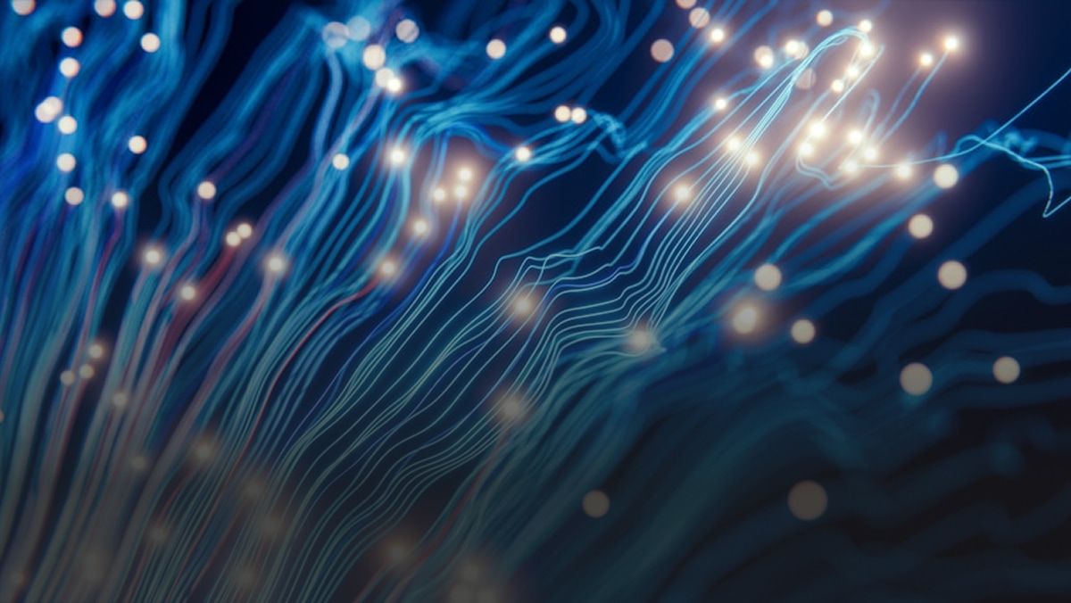 Hacker Ético: Técnicas y Herramientas para Principiantes